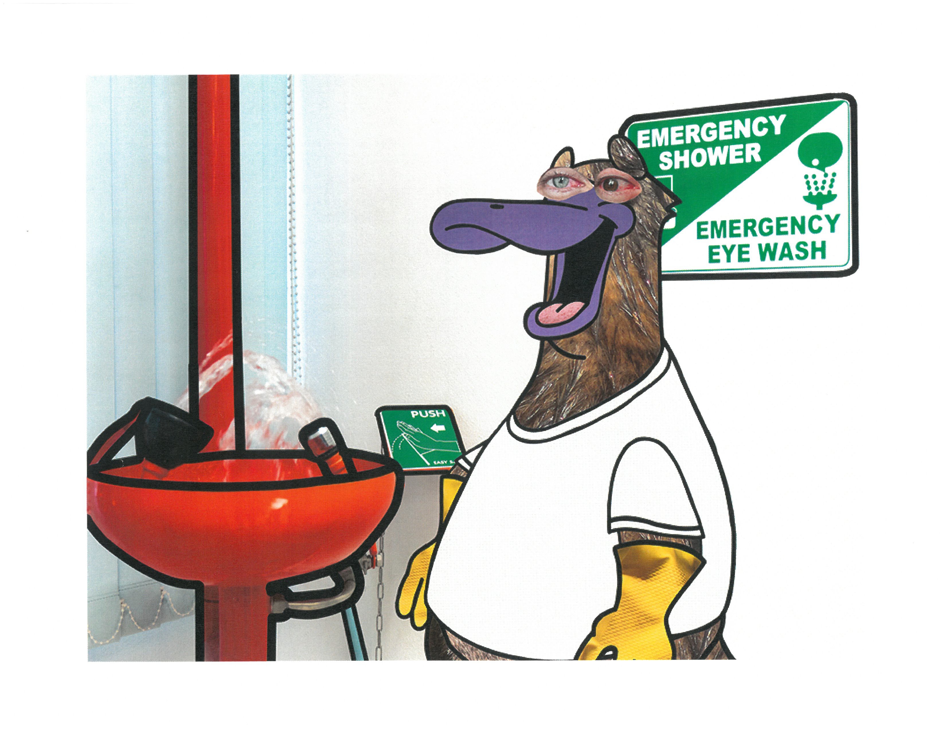 Abby - Adult - Eye Safety
