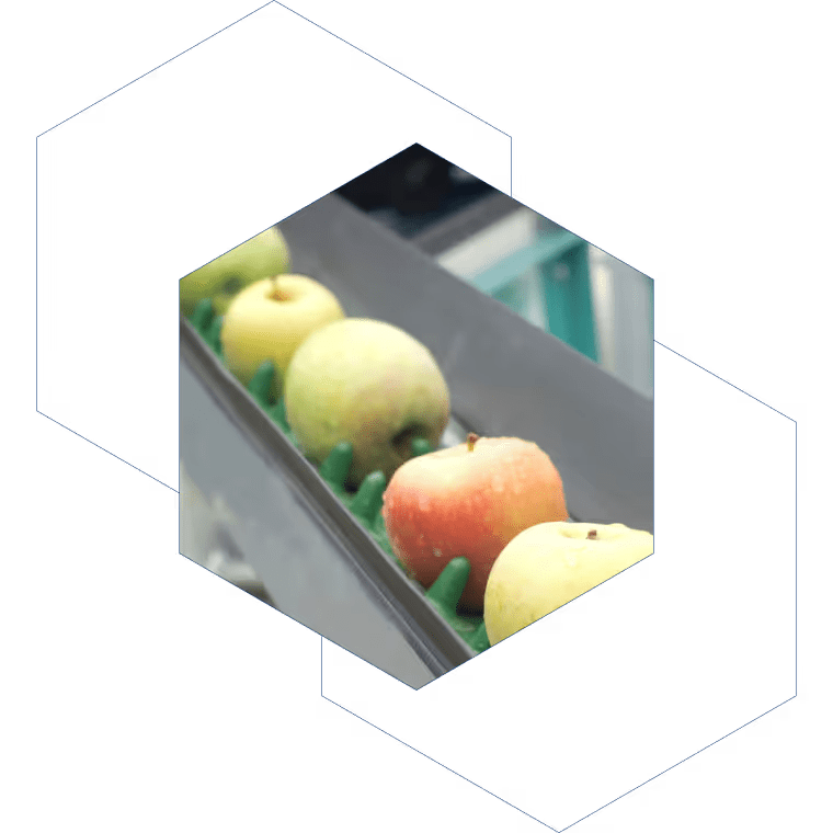 apples